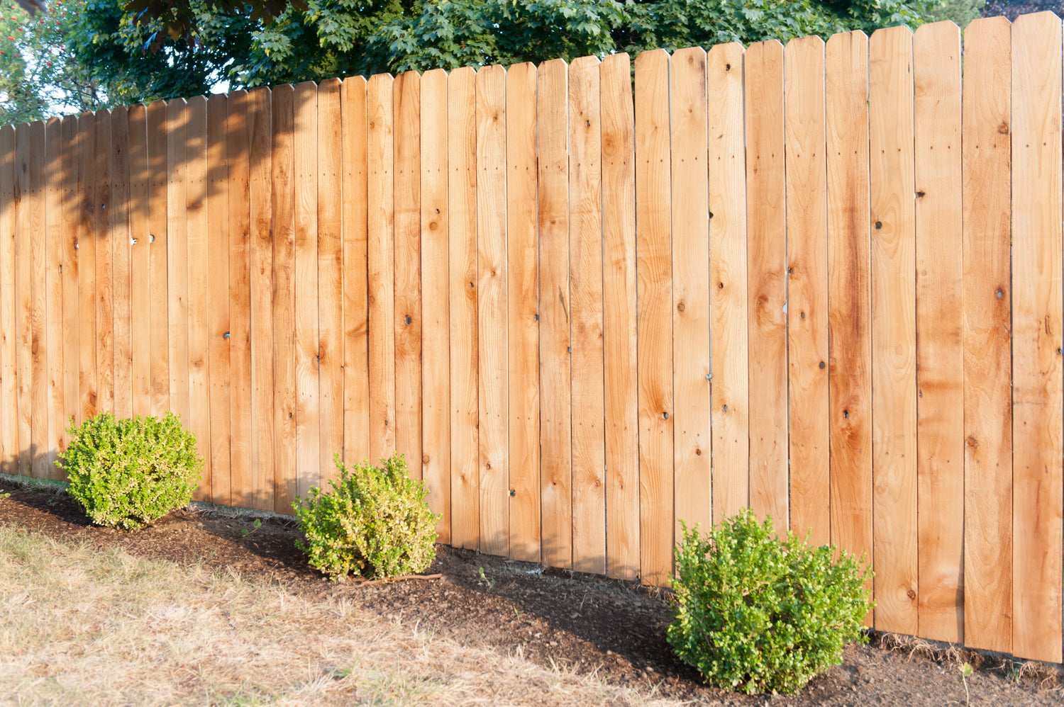 Wood Fence Products